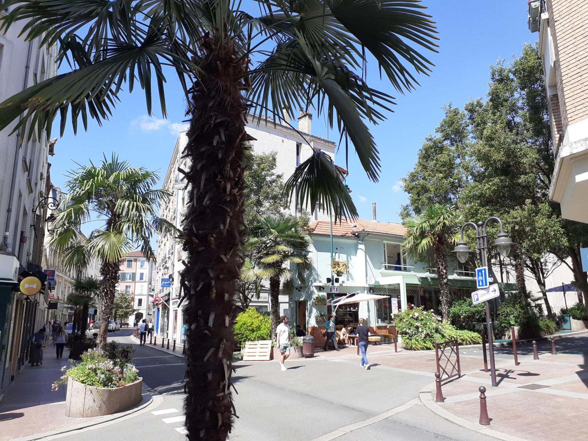 Maison Individuelle Avec Terrasse Nogent Sur Marne Exteriér fotografie